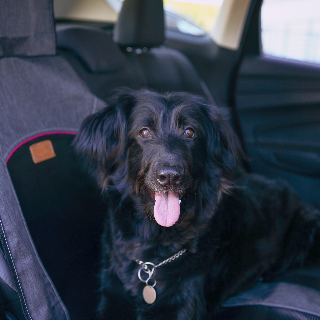 Puppy Travel Seat