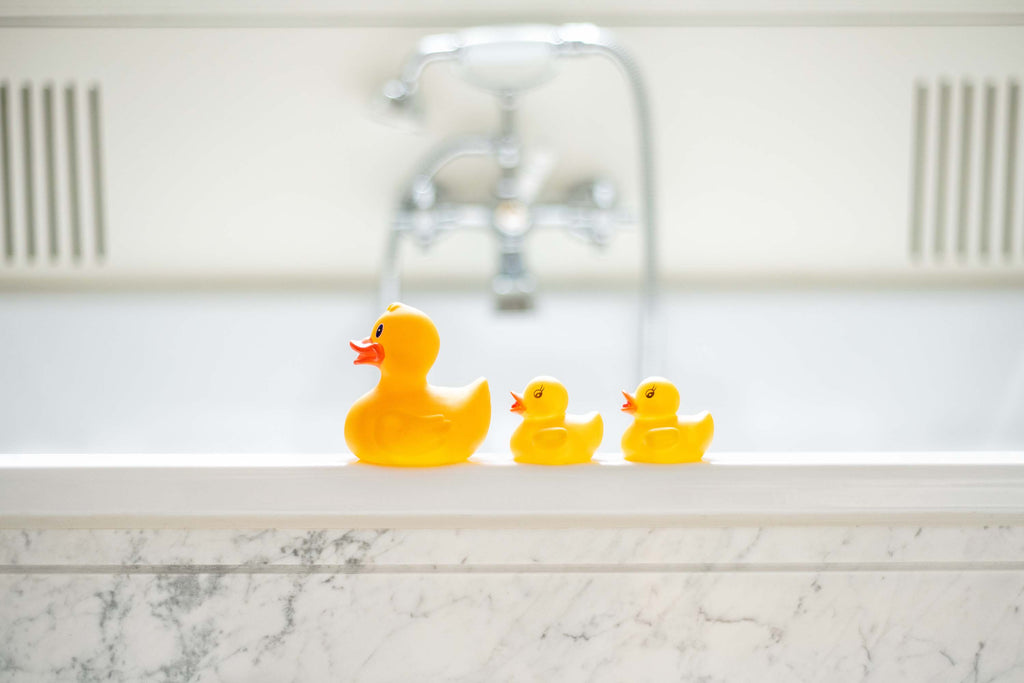 Urban Transit Rubber Duckies