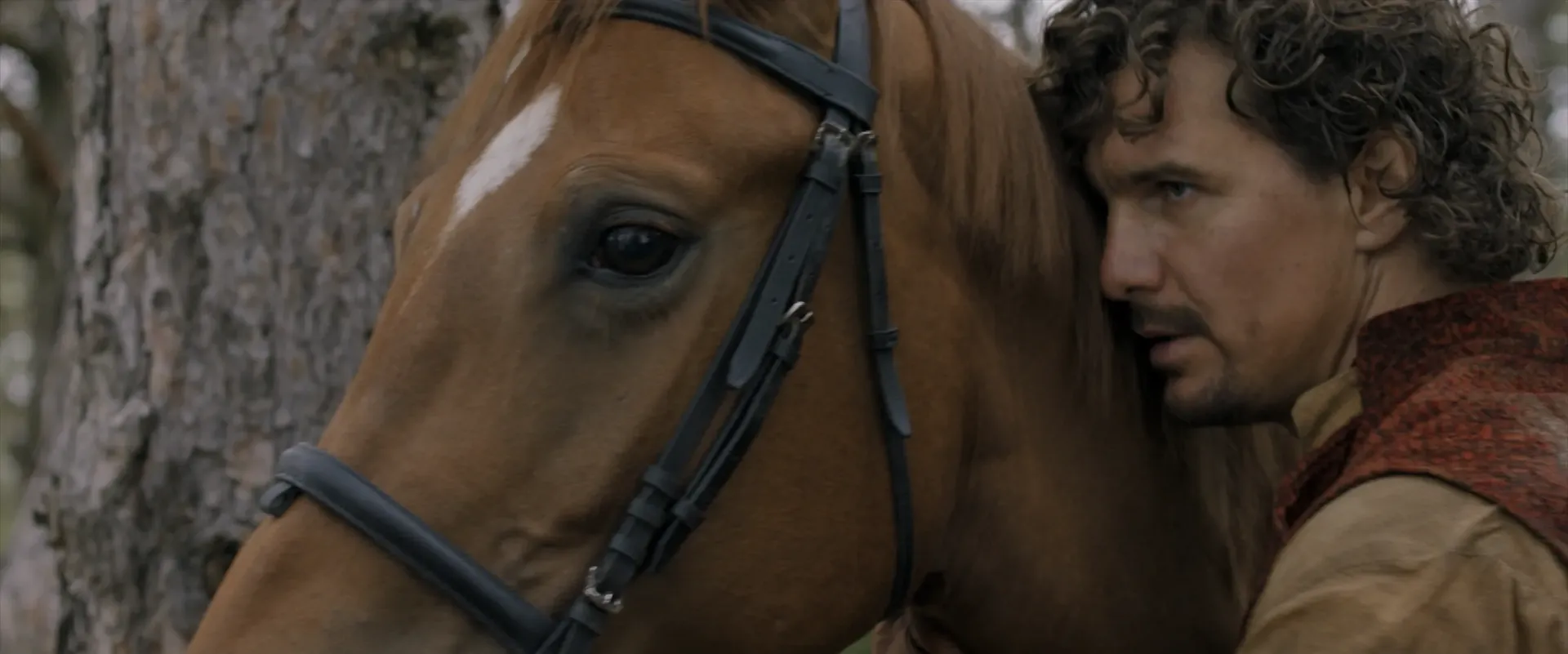 A horse and its owners head laying on its next looking intently out of the frame.