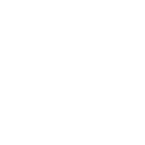 Play Icon
