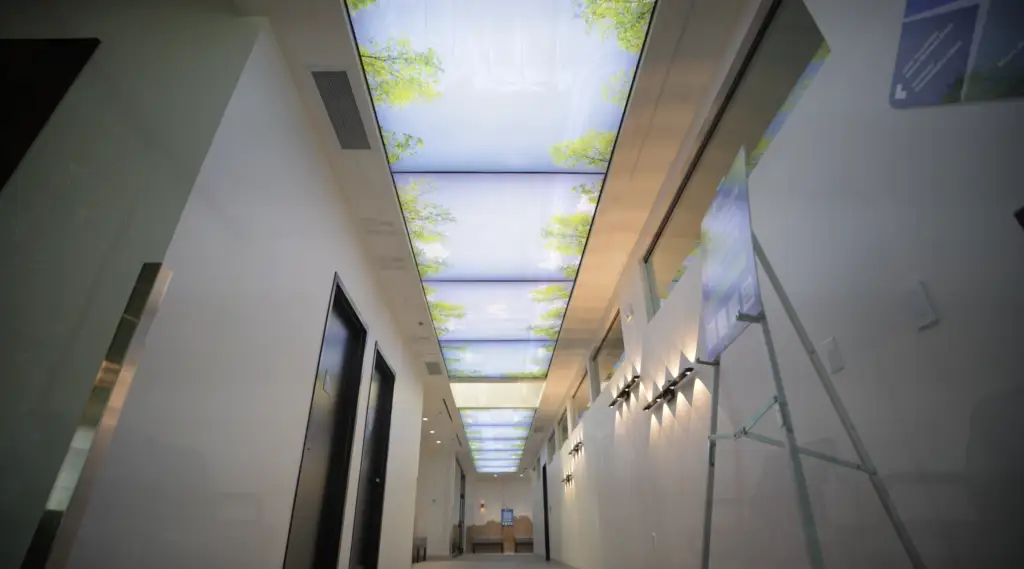 Indoor corridor with white walls and dark doors on left, illuminated ceiling panels depicting blue sky with green tree branches, and light fixtures on the right wall.