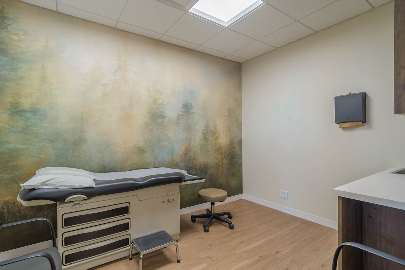 Bright exam room with forest mural, skylight, warm wood floors, built-in casework, and compact clinical layout.