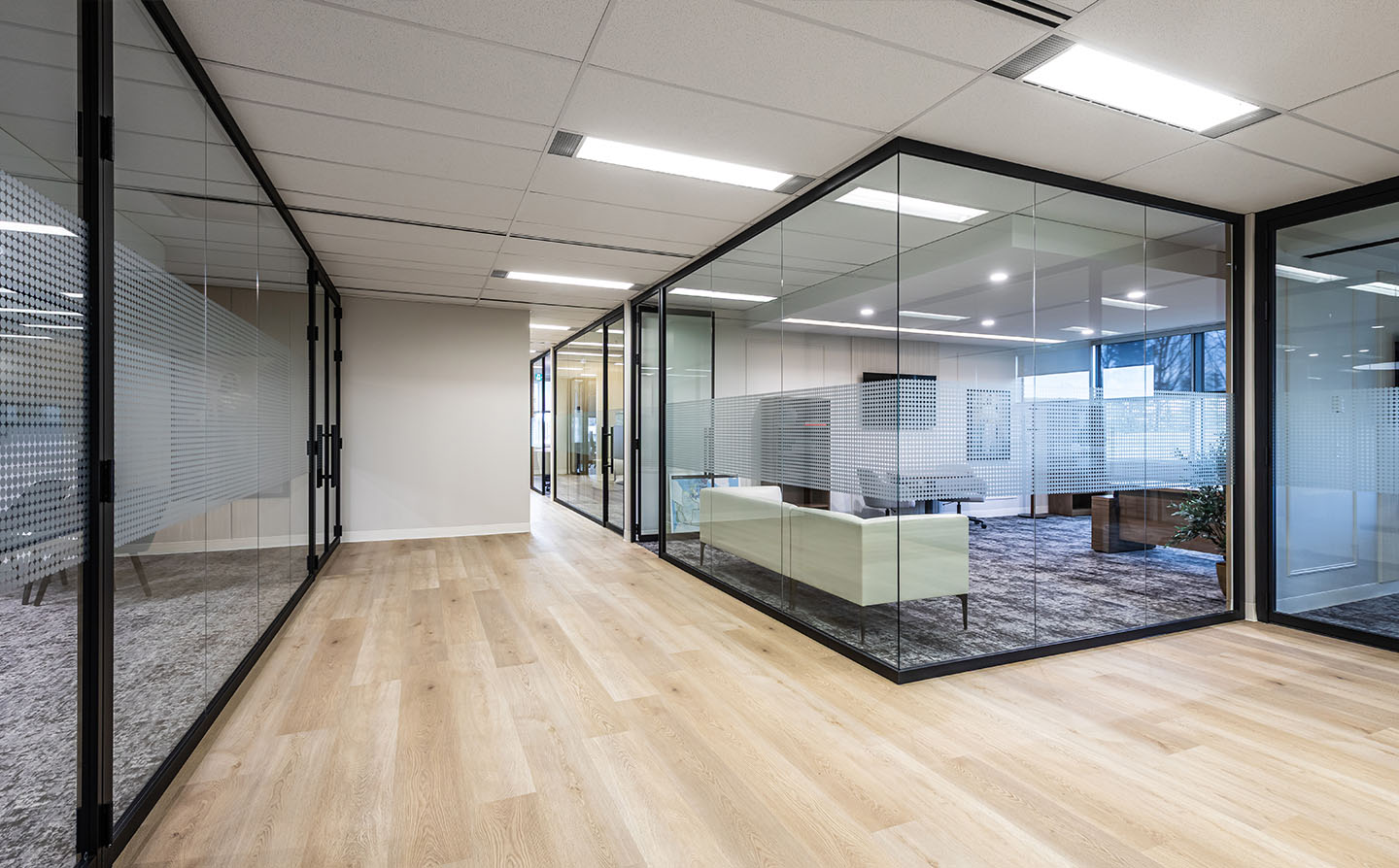 Modern office corridor with black-framed glass partitions, light hardwood flooring, and frosted privacy film.