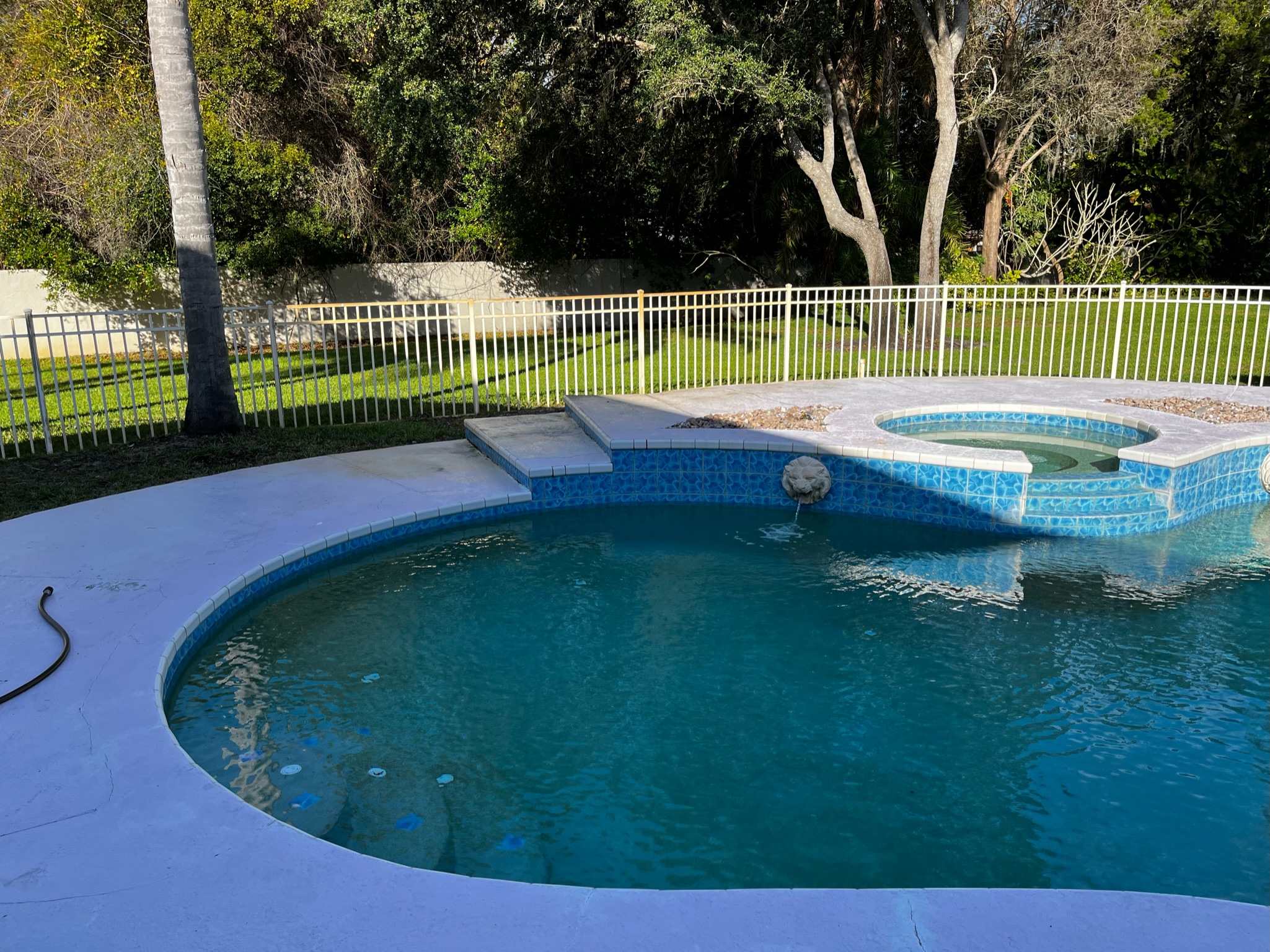 Curved swimming pool with a raised blue-tiled spa, surrounding deck and backyard fence.