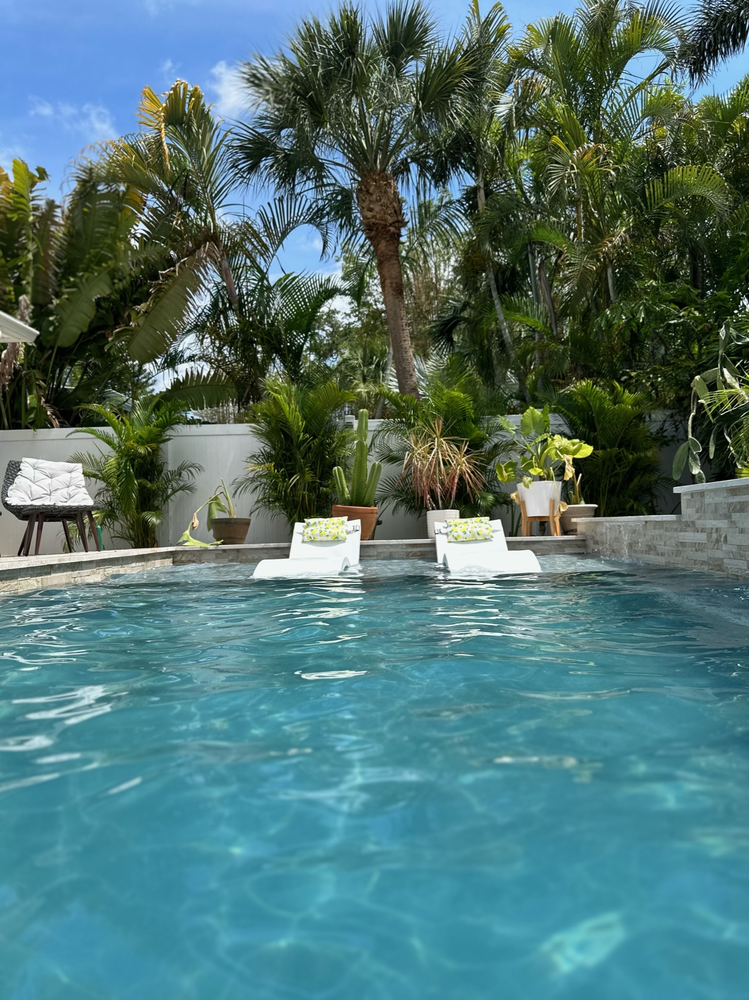 Pool with two white loungers on a shallow shelf and tropical planting behind it.