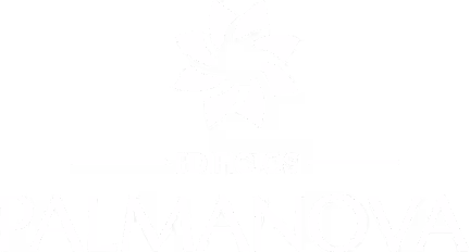 Logotipo de EDIFICIOS PALMANOVA con un diseño abstracto de pétalos formando un círculo arriba del texto.