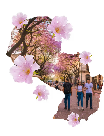 Personas caminando por una calle adoquinada bordeada de árboles con flores rosadas y flores rosadas grandes superpuestas.