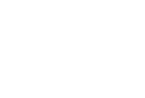 Logotipo de Villa Morra Palmanova con un diseño de estrella abstracta arriba del texto.