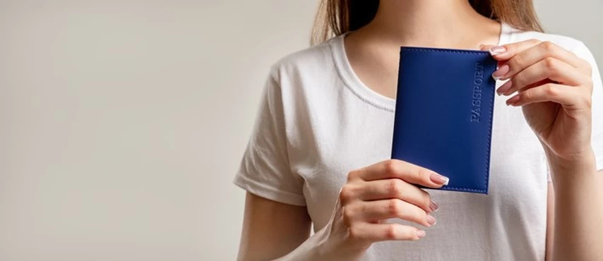 A Guide to the Skilled Migrant Category