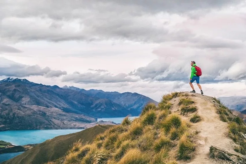 Things to Do in New Zealand: Tips for New Migrants
