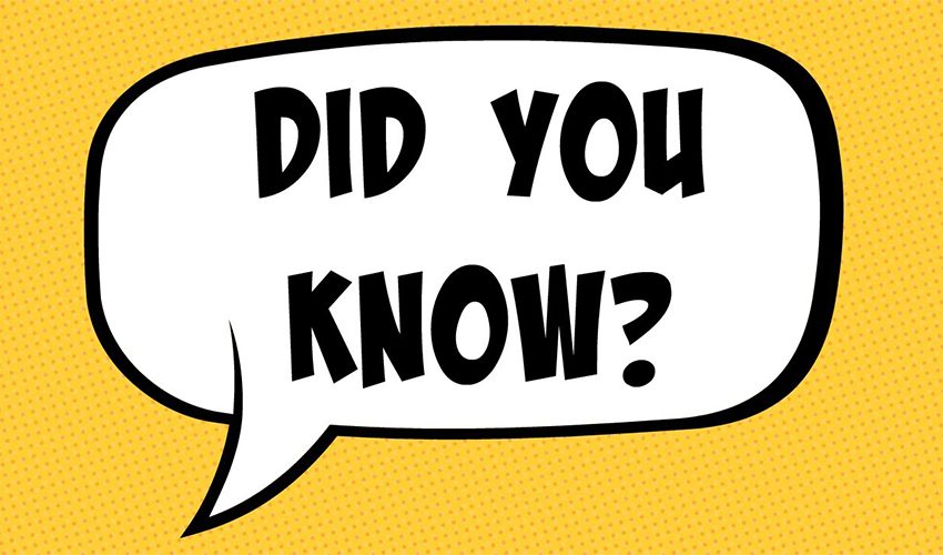 Visa tips and insights