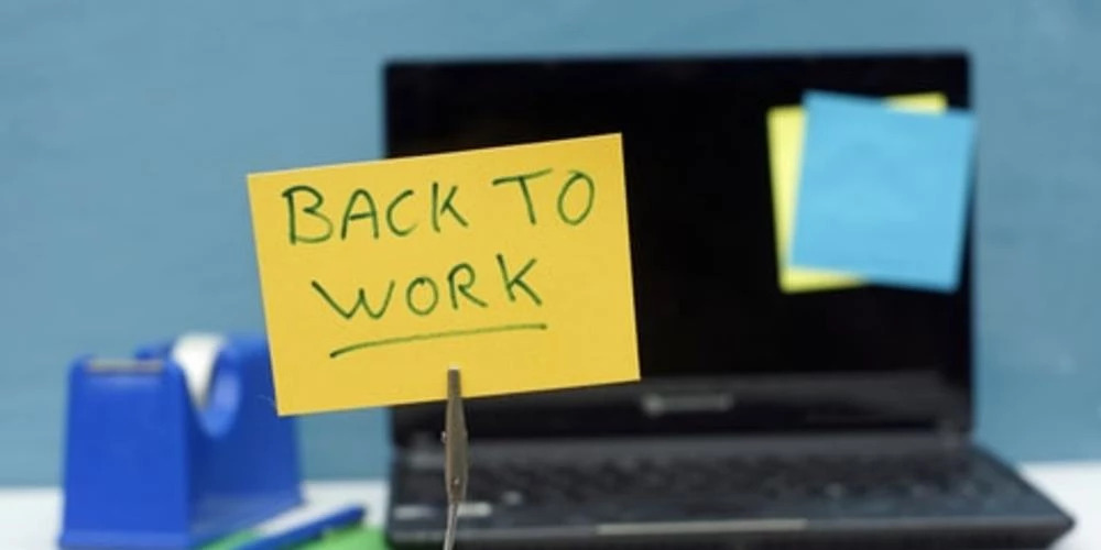 Want to get back to work in NZ?