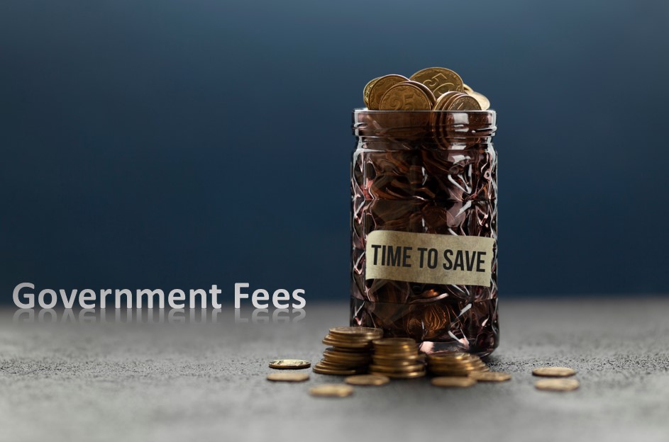 Government hikes visa fees – opportunity to save $$