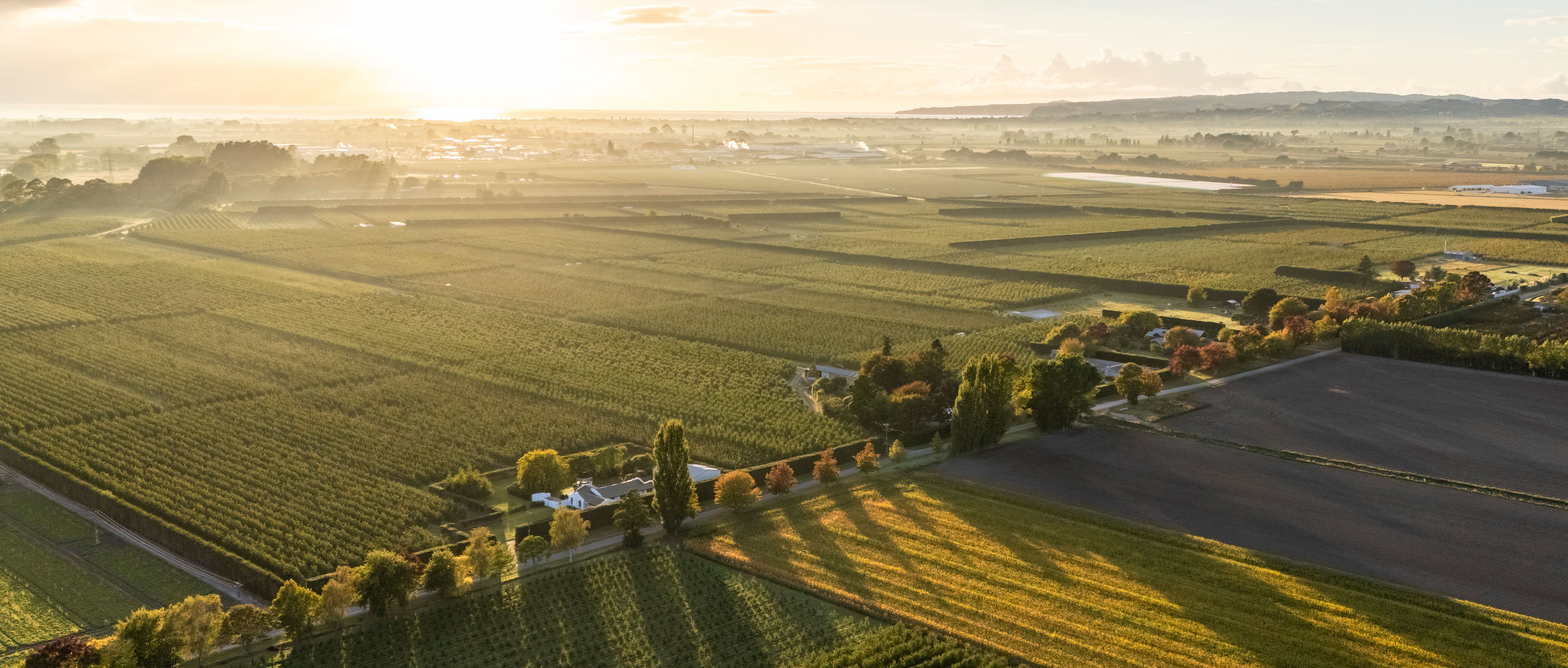 New seasonal work visas now open