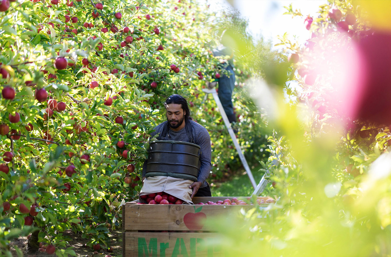 2026 opening dates confirmed for capped Working Holiday Schemes (WHS)