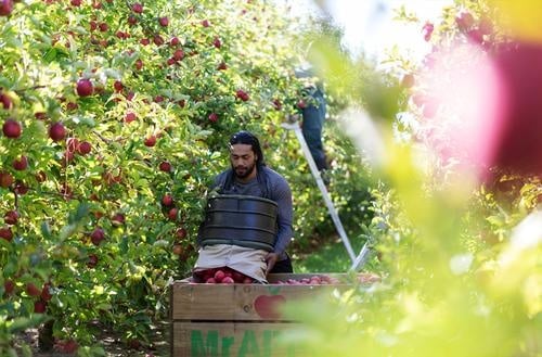 2026 opening dates confirmed for capped Working Holiday Schemes (WHS)