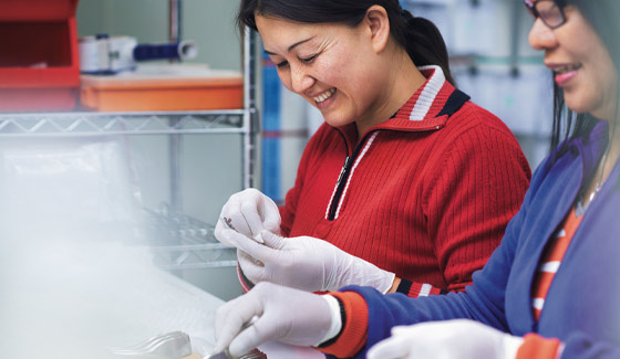 Updated guidance for AEWV holders changing jobs or finishing work