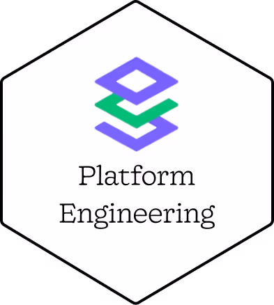 Logo with stacked geometric shapes in purple and green above the text 'Platform Engineering' inside a hexagonal frame.