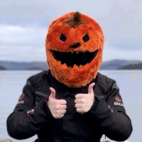 Person wearing a plush pumpkin mask giving two thumbs up with a blurred watery landscape in the background.