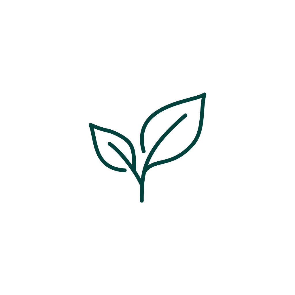 Simple dark green line drawing of a plant with two leaves on a transparent background.