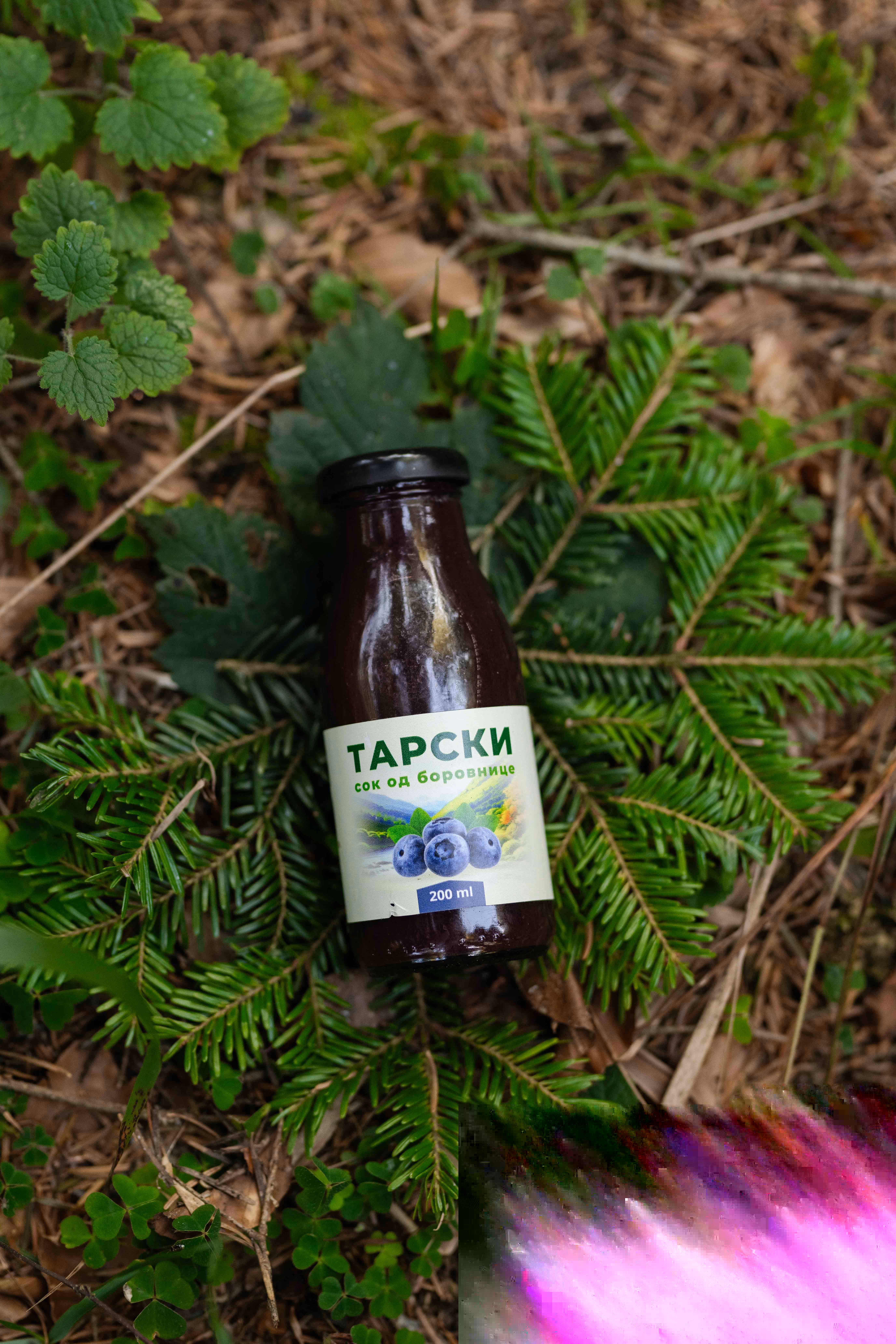Prirodni tarski sok od borovnice u staklenoj amabalazi od 200ml u zimzelenim grancicama planine Tare.
