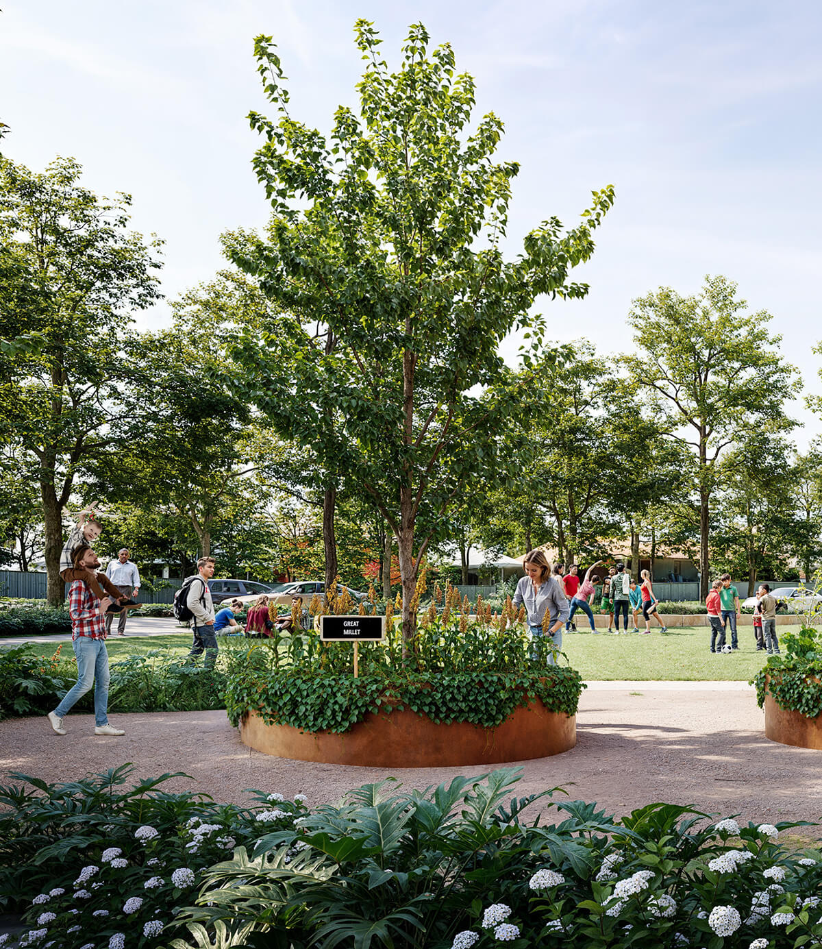 People enjoying a green park with trees, flower under clear skies.