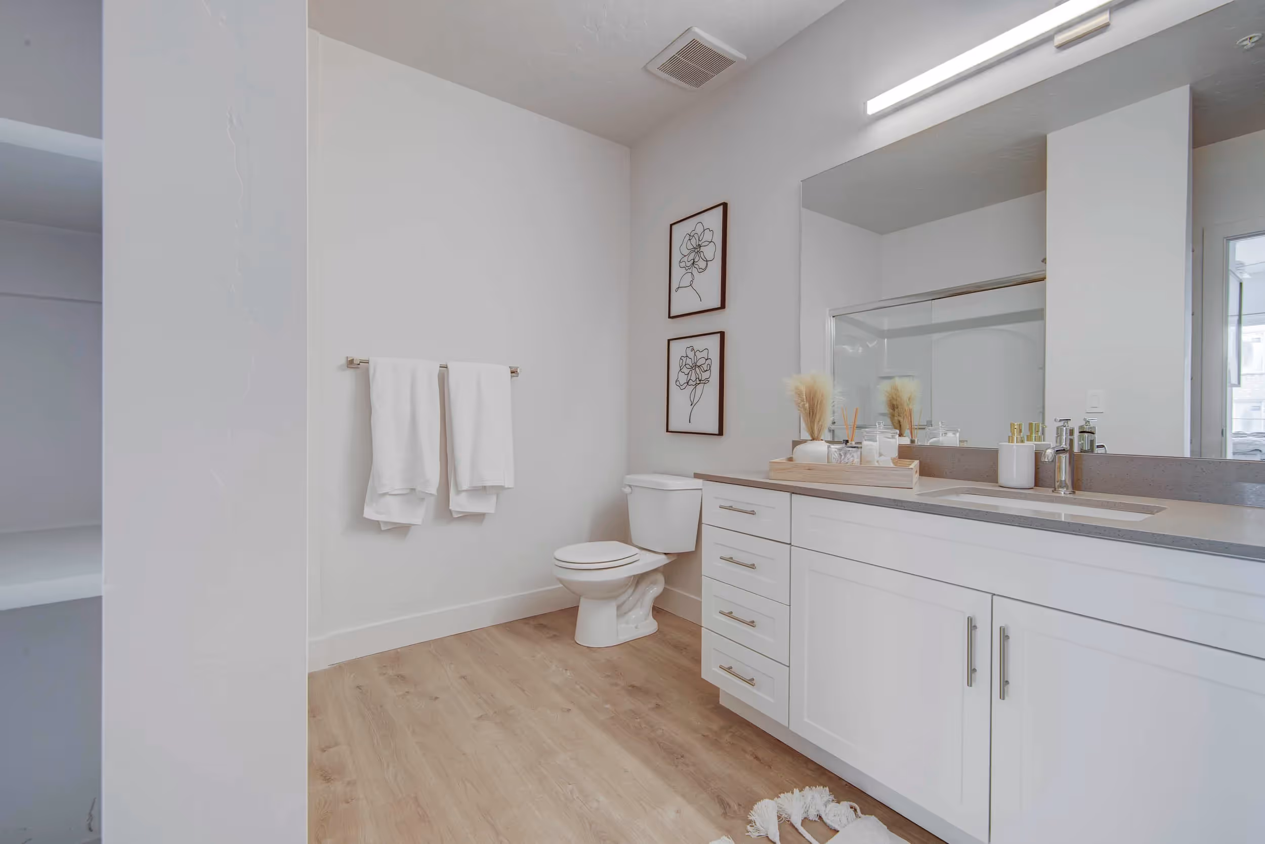 Bathroom with a vanity
