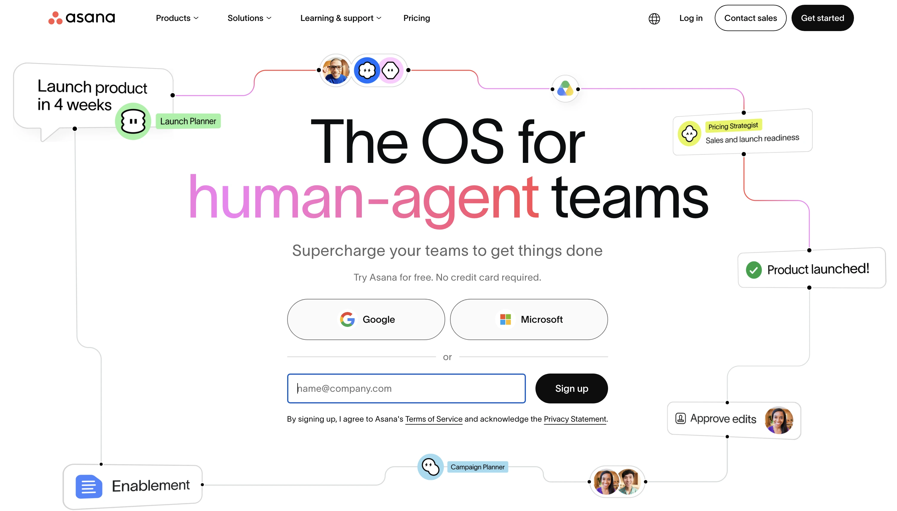 Asana website view
