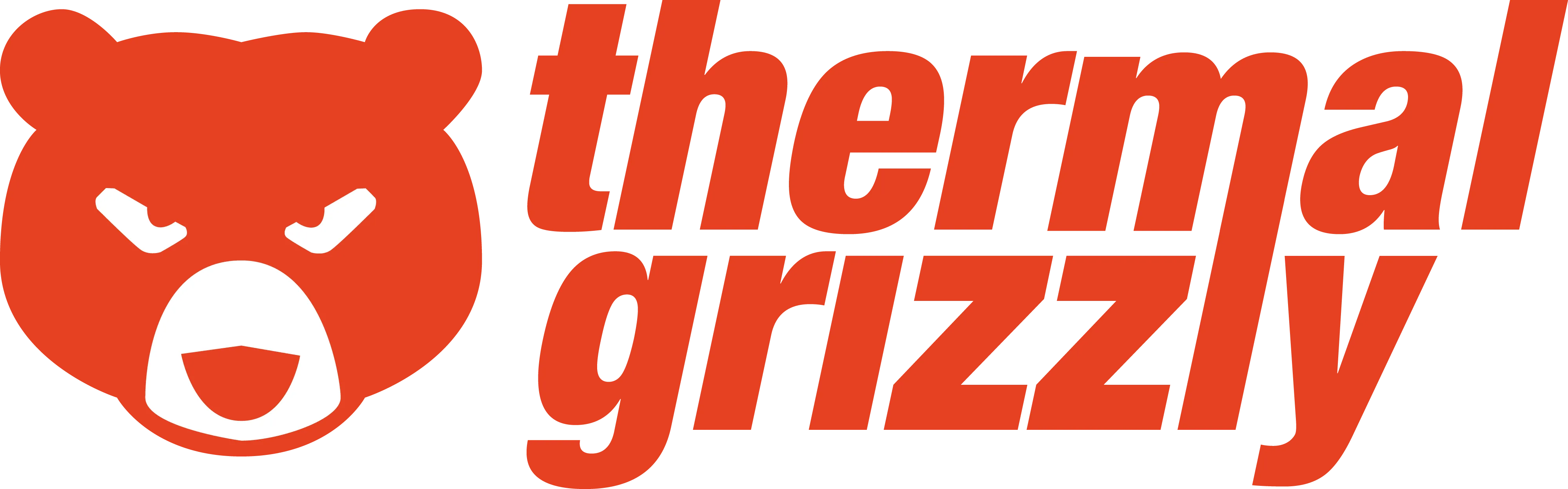 Thermal Grizzly logo with stylized angry bear face in orange next to the orange text 'thermal grizzly'.
