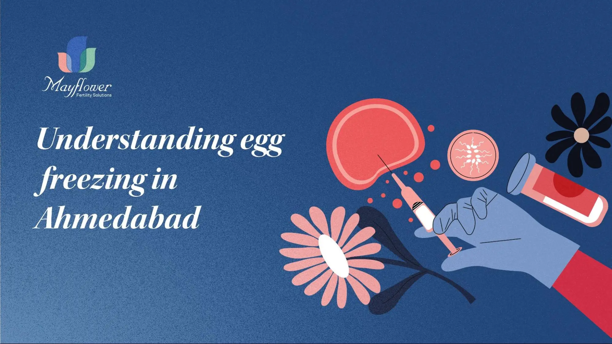 Egg Freezing in Ahmedabad: What Every Woman Should Know