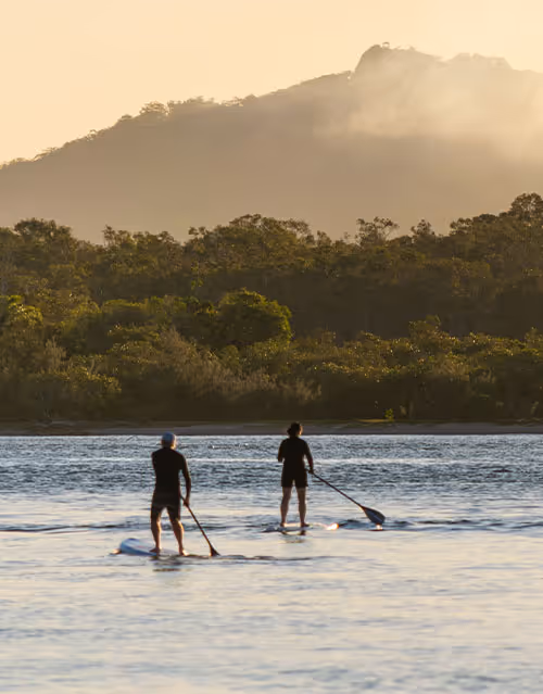 paddle boarders crossing a hinterland lake at sunrise