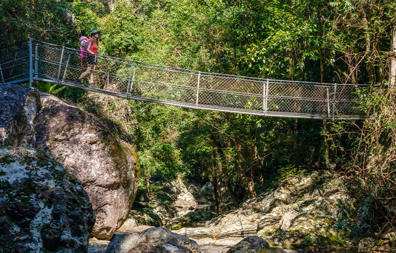 hiker crossing a bridge over a rive in the sunshine coast hinterland
