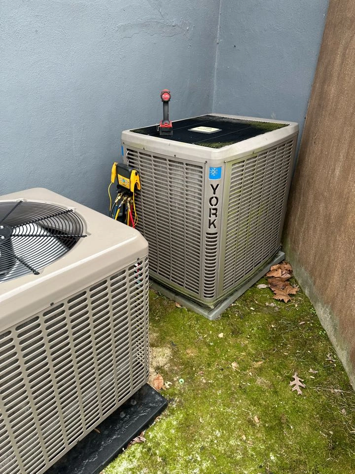 Two outdoor air conditioning units sit on a moss-covered concrete surface.