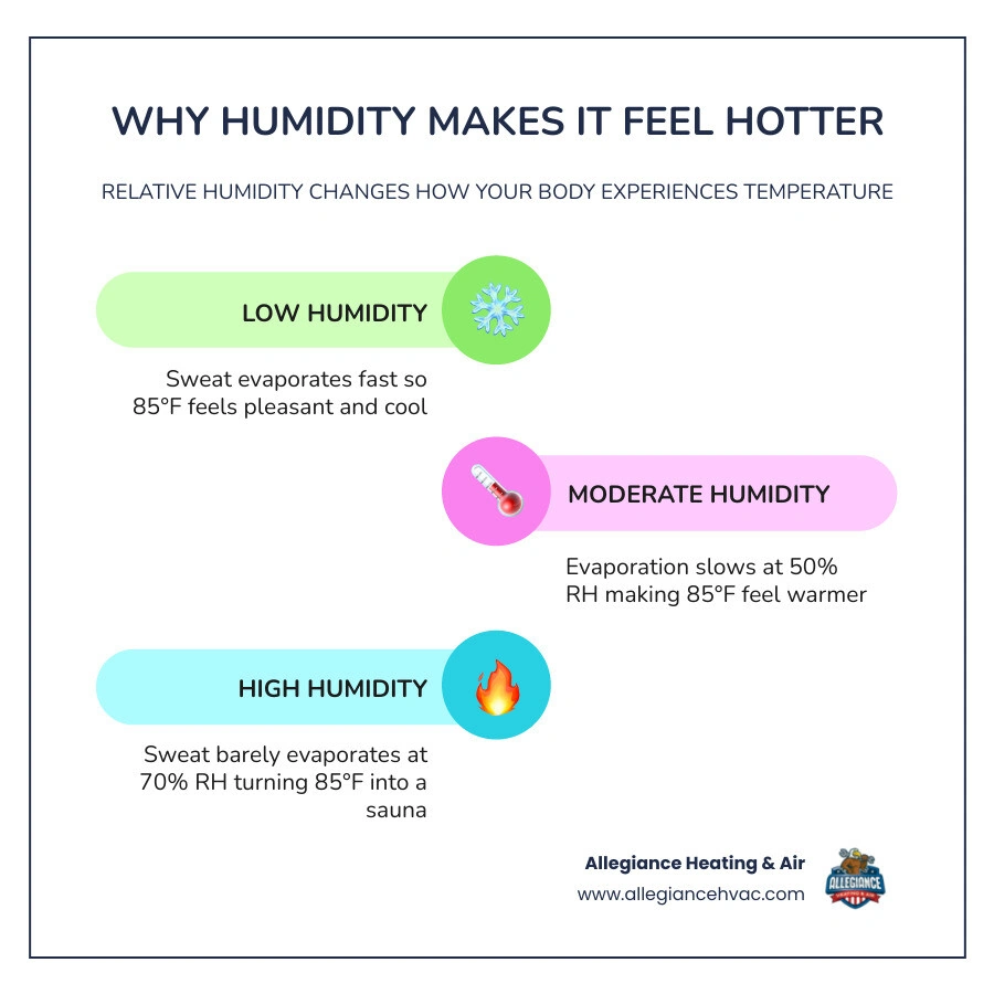 Infographic showing relationship between relative humidity levels and perceived indoor temperature comfort infographic Infographic showing relationship between relative humidity levels and perceived indoor temperature comfort infographic