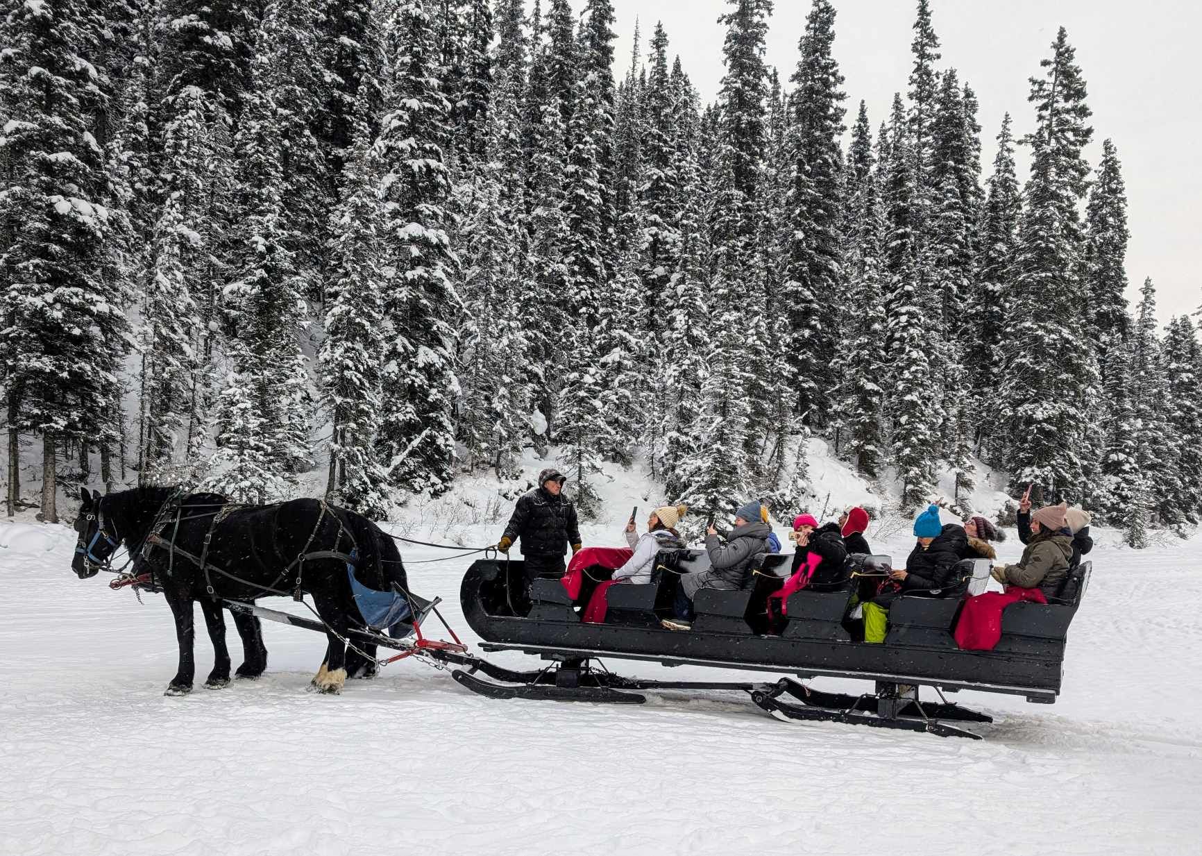 A group of people in winter clothing riding a horse-drawn sleigh through a snowy forest.