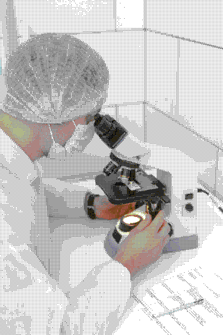 High-Precision Labs for Reliable Results