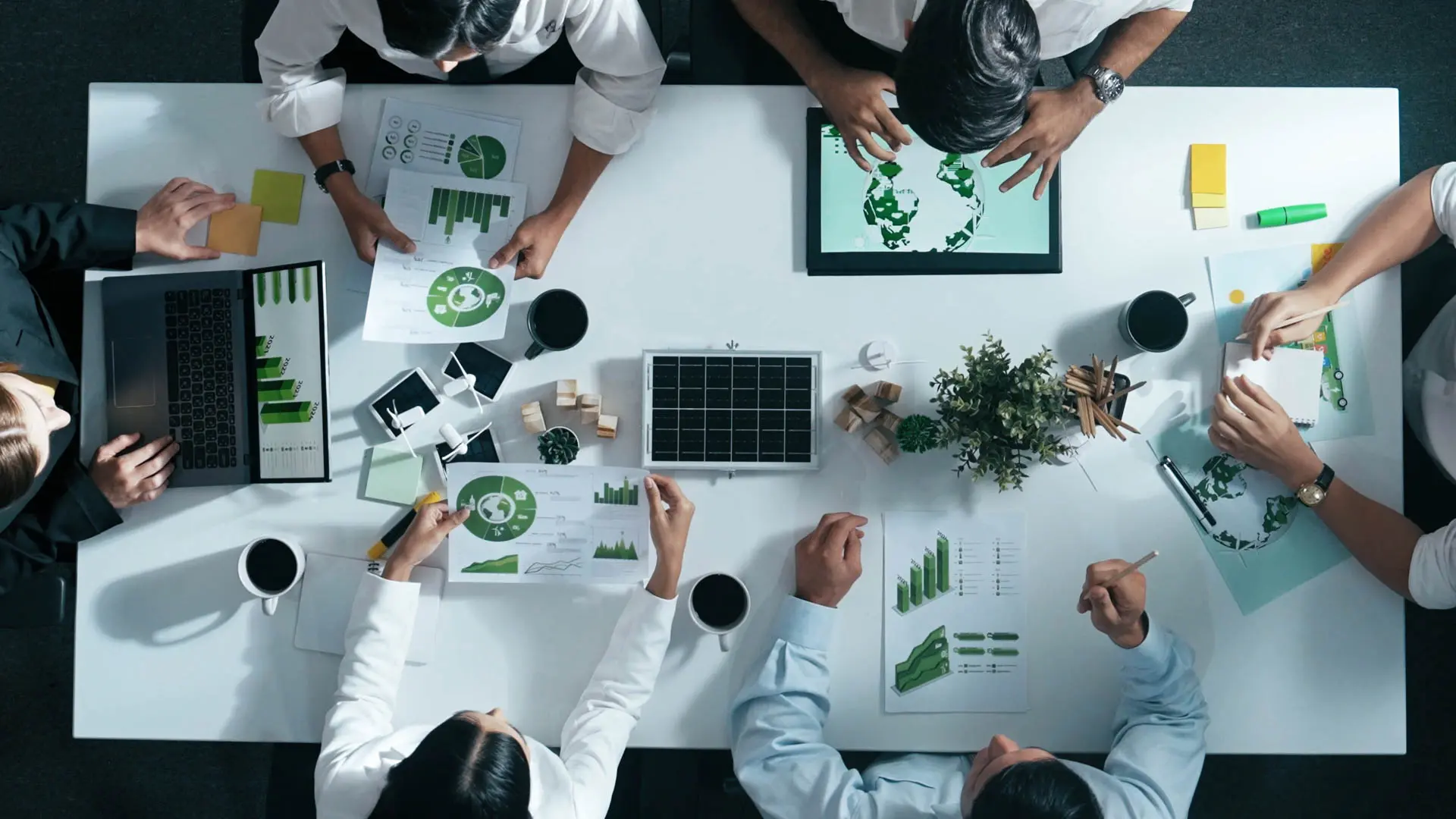 Sustainability & Impact