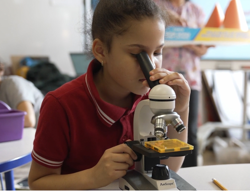 Academic cultureal image