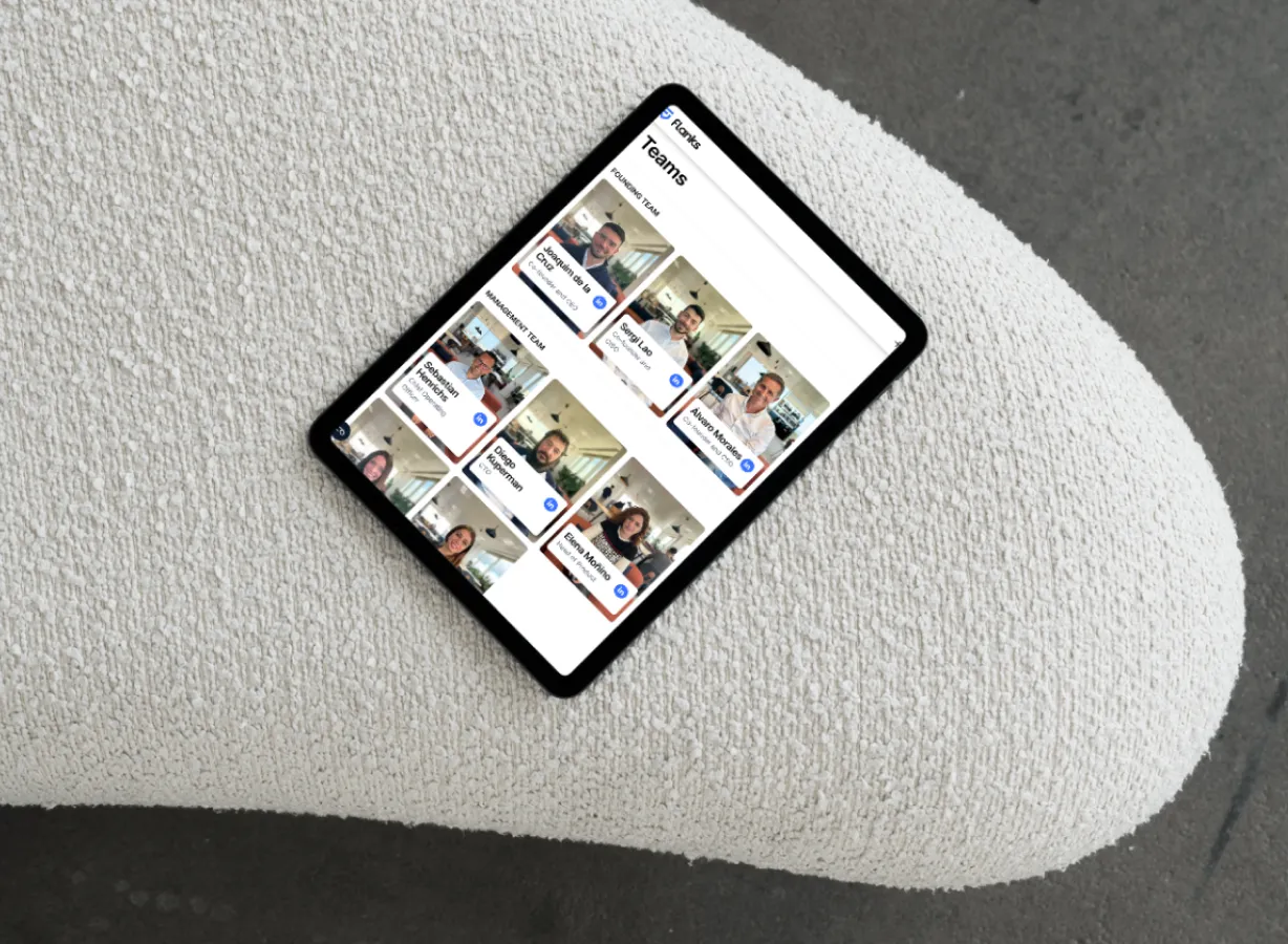 Captura de pantalla de Flanks - Desarrollo Webflow