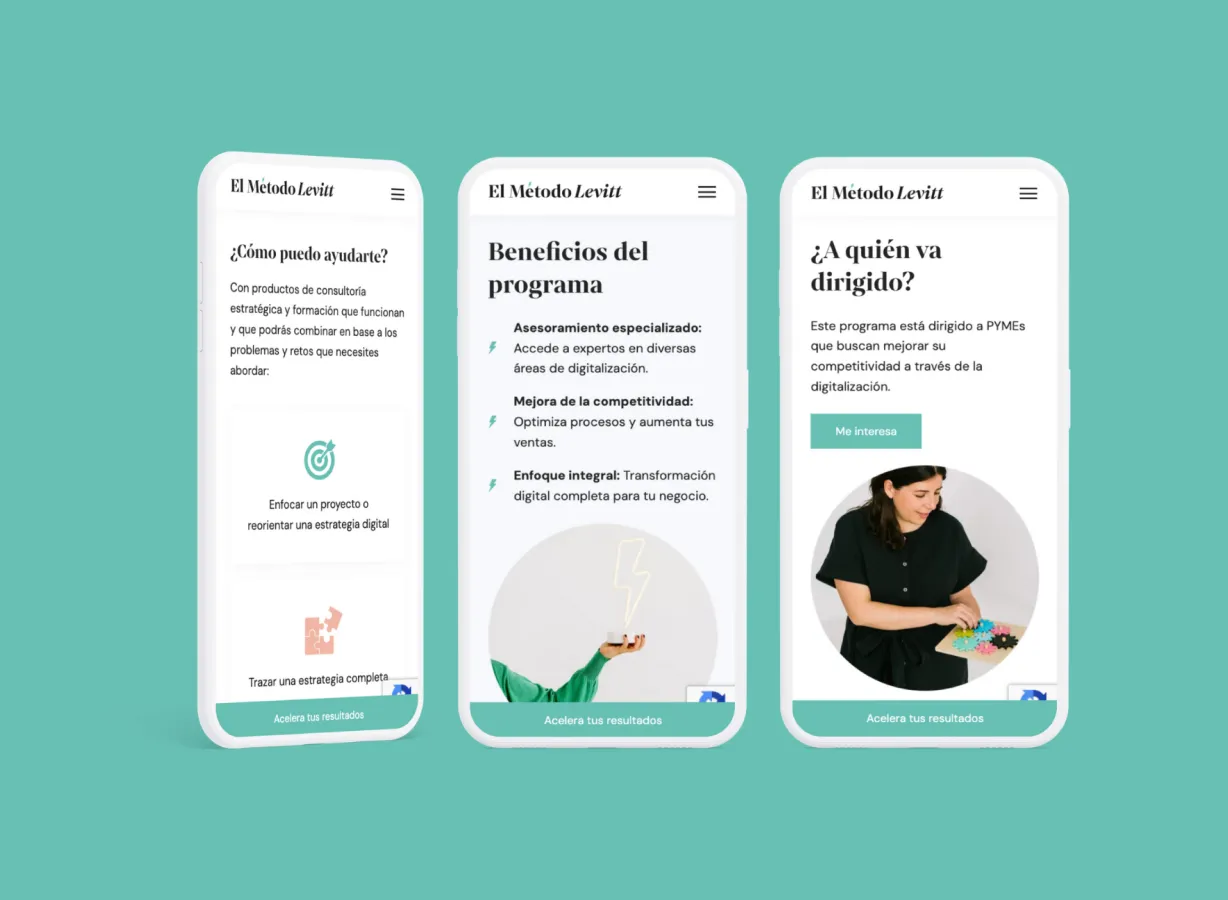 Captura de pantalla de El Método Levitt - Desarrollo Wordpress