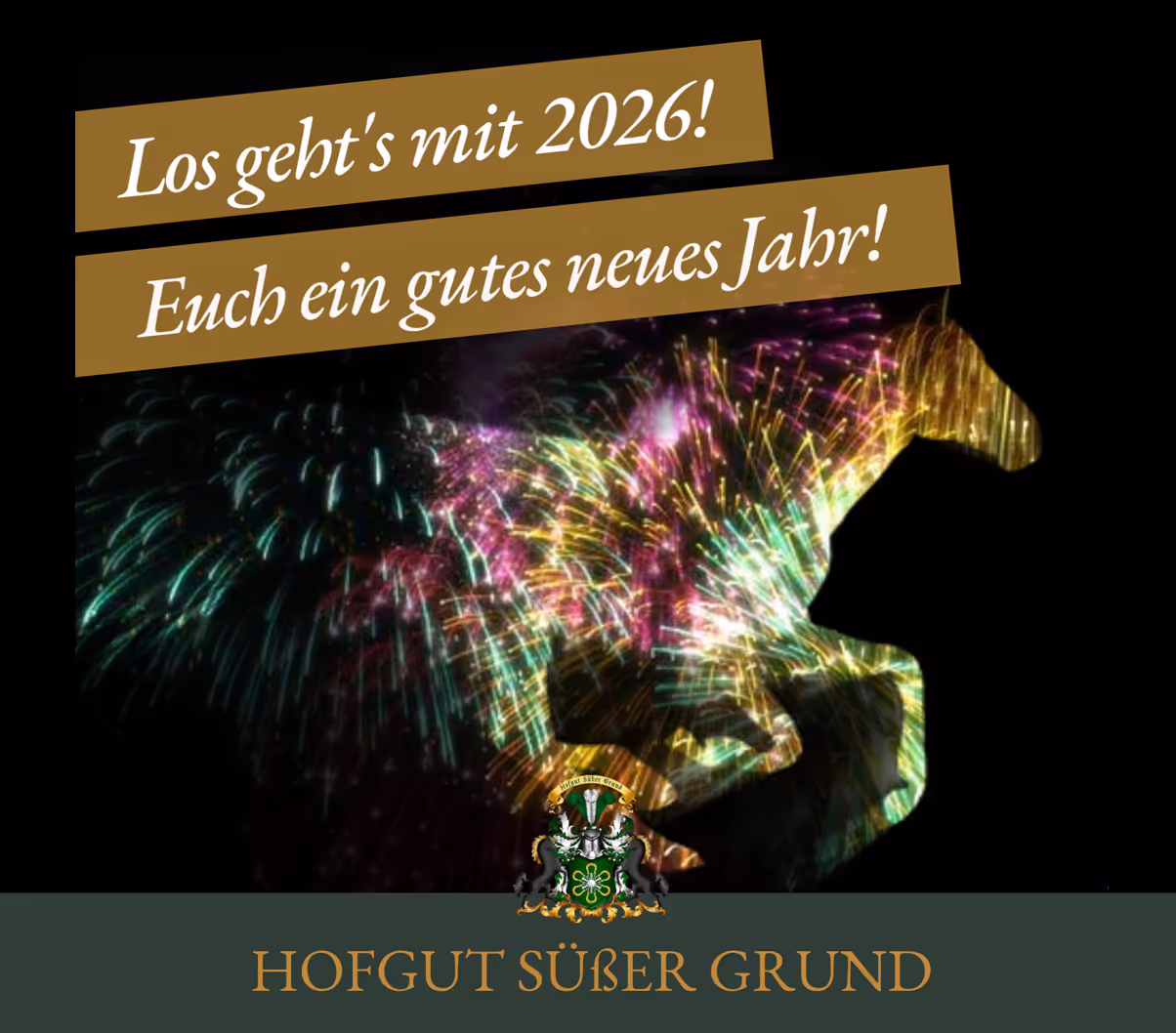 Instagram Posting hofgut Suesser Grund erstellt von Simone Wipf Studio S