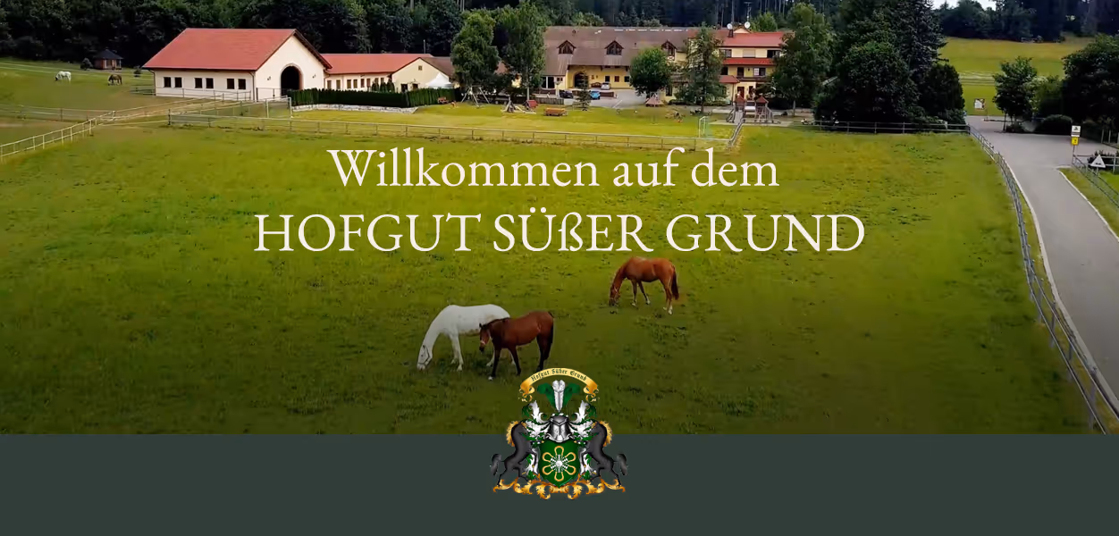 Logo und CI Süßer Grund erstellt von Simone Wipf von Studio S