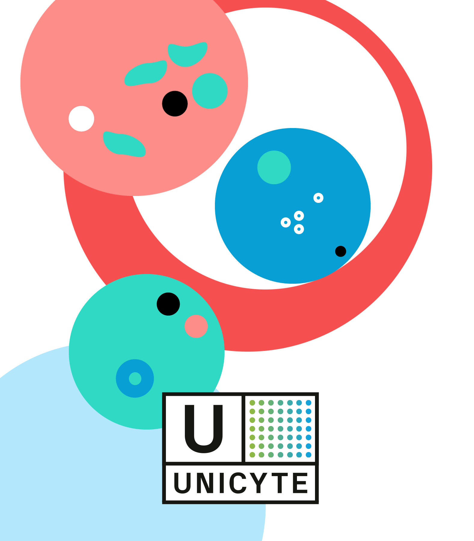 Logo und CI Unicyte erstellt von Simone Wipf von Studio S