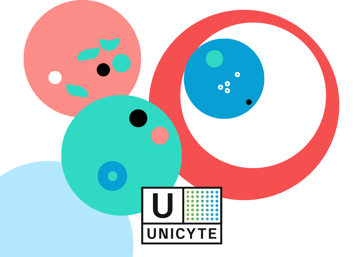 Logo und CI Unicyte erstellt von Simone Wipf von Studio S