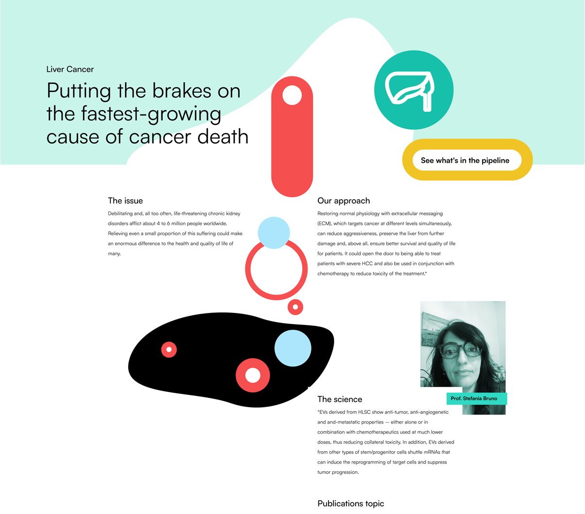 Webseitendesign und medizinische Illustrationen von Studio S Simone Wipf