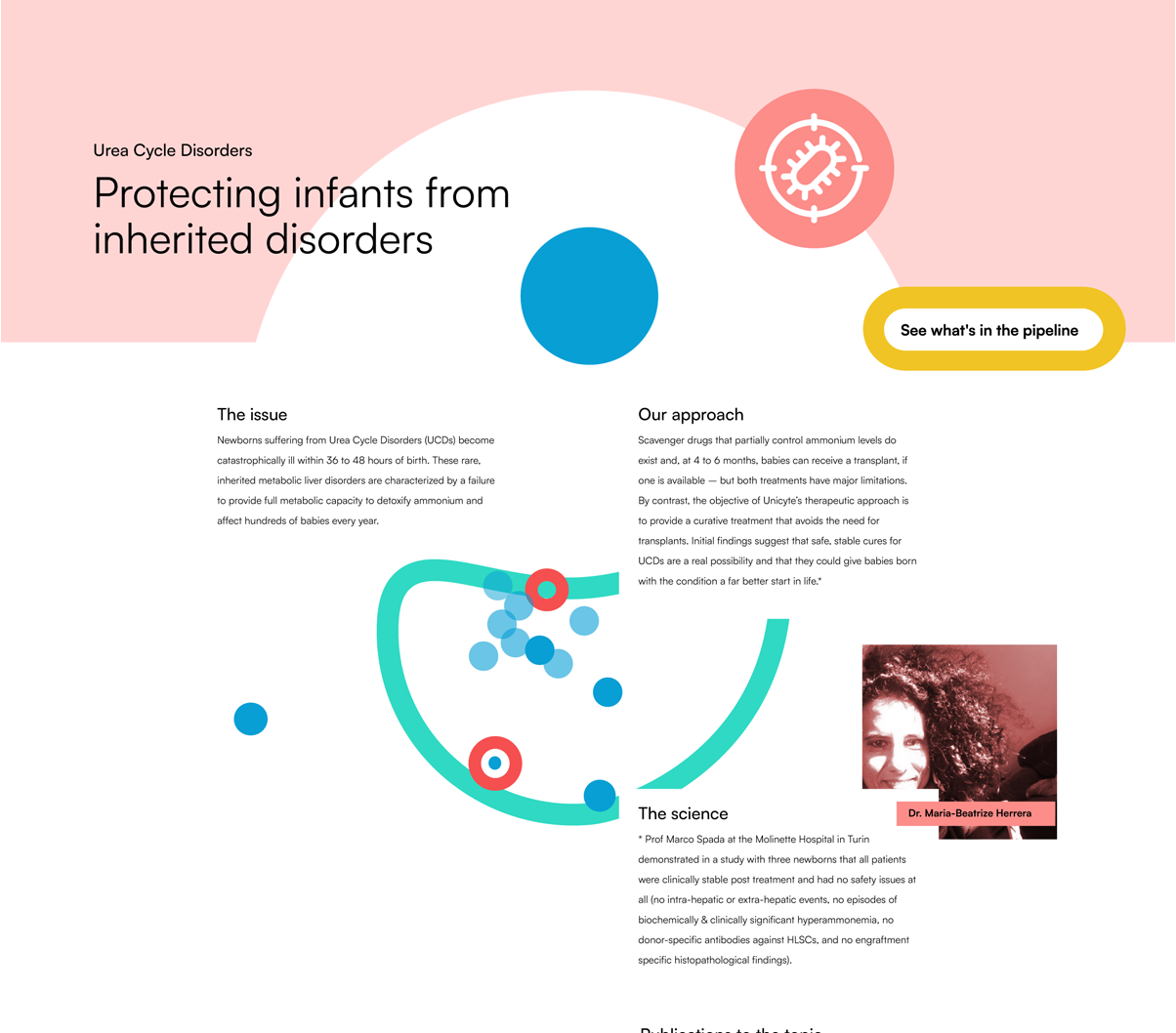 Webseitendesign und medizinische Illustrationen von Studio S Simone Wipf