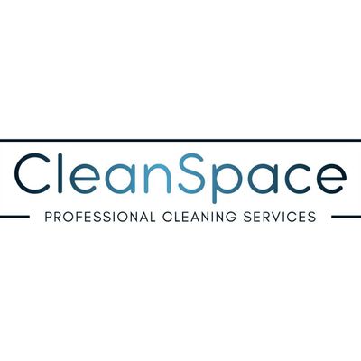 CleanSpace Professional Cleaning Services logo with a clean, modern font.