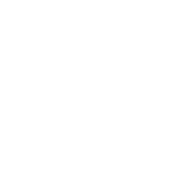 Icon showing two checklist items with checkmarks inside a rounded square.