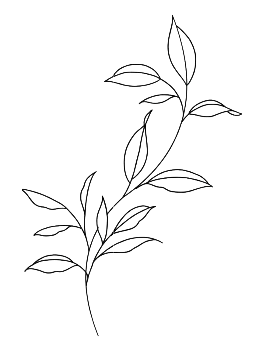 Simple black line art drawing of a branch with elongated leaves on a white background.