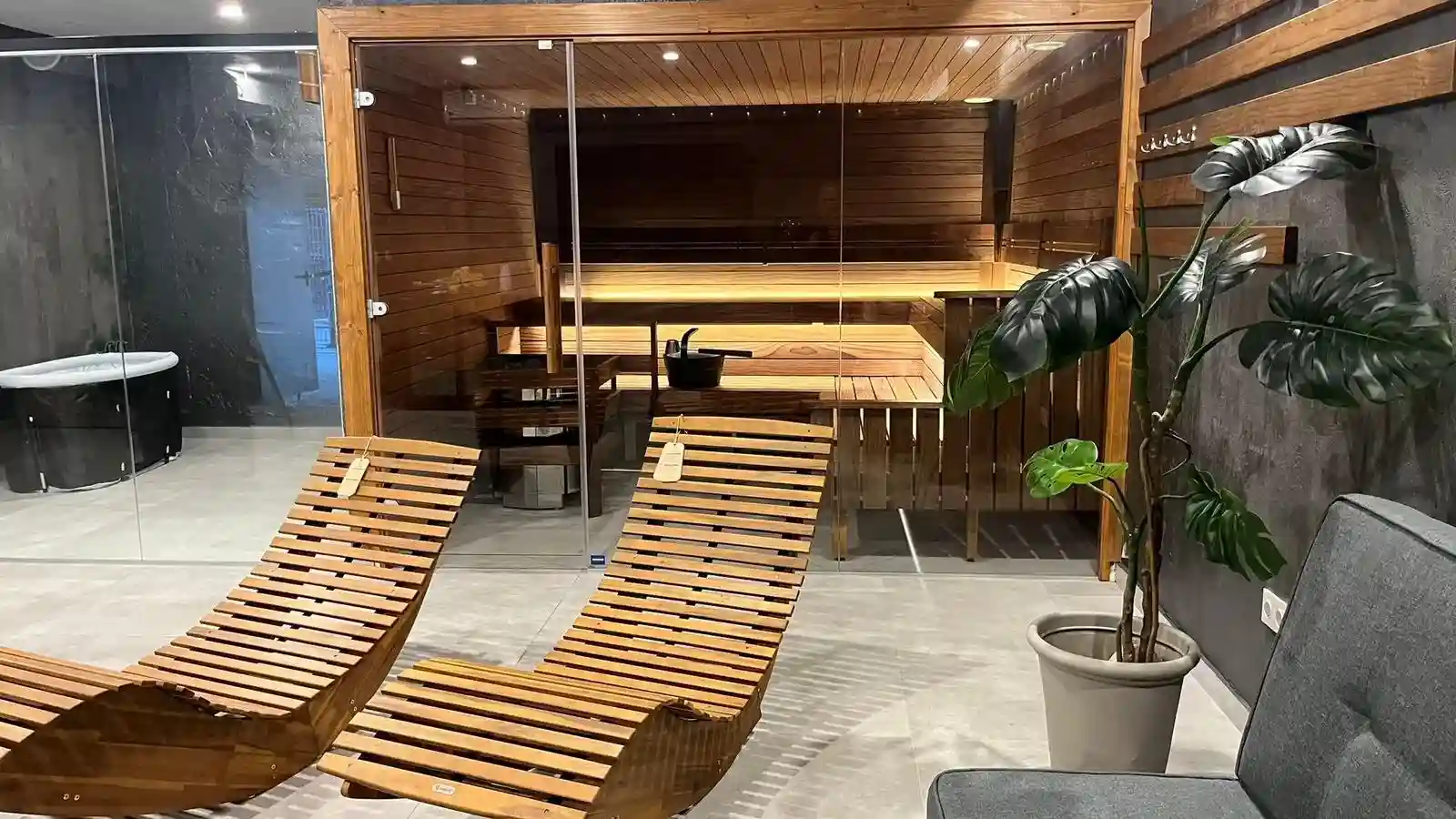 Modern indoor relaxation area with wooden lounge chairs, a glass-enclosed sauna, potted plant, and a gray sofa.